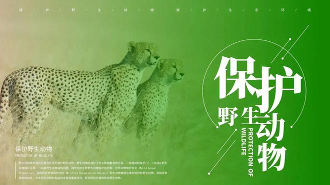 IM电子平台世界野生动植物保护日到了保护野生动物环保主题PPT模板合集